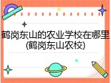 鹤岗东山的农业学校在哪里(鹤岗东山农校)