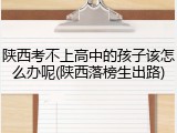 陕西考不上高中的孩子该怎么办呢(陕西落榜生出路)