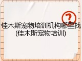 佳木斯宠物培训机构哪里找(佳木斯宠物培训)