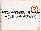 沈阳冶金学院现在是什么大学(沈阳冶金学院现名)