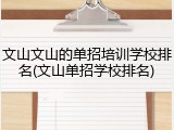 文山文山的单招培训学校排名(文山单招学校排名)