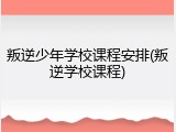 叛逆少年学校课程安排(叛逆学校课程)