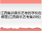 江西集训音乐艺考的学校在哪里(江西音乐艺考集训校)
