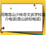 河南嵩山少林寺文武学校简介电话(嵩山武校电话)