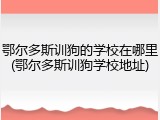 鄂尔多斯训狗的学校在哪里(鄂尔多斯训狗学校地址)