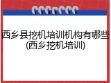 西乡县挖机培训机构有哪些(西乡挖机培训)