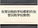 东营训狗的学校哪家好(东营训狗学校推荐)