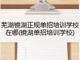 芜湖镜湖正规单招培训学校在哪(镜湖单招培训学校)