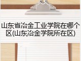 山东省冶金工业学院在哪个区(山东冶金学院所在区)