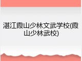 湛江霞山少林文武学校(霞山少林武校)