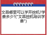 文昌哪里可以学开挖机?学费多少?("文昌挖机培训学费")