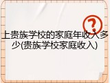 上贵族学校的家庭年收入多少(贵族学校家庭收入)