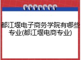 都江堰电子商务学院有哪些专业(都江堰电商专业)