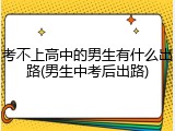 考不上高中的男生有什么出路(男生中考后出路)