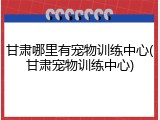 甘肃哪里有宠物训练中心(甘肃宠物训练中心)