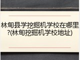 林甸县学挖掘机学校在哪里?(林甸挖掘机学校地址)
