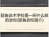 延鲁武术学校是一所什么样的武校(延鲁武校简介)