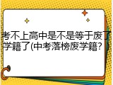 考不上高中是不是等于废了学籍了(中考落榜废学籍？)