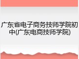 广东省电子商务技师学院初中(广东电商技师学院)