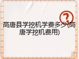 高唐县学挖机学费多少(高唐学挖机费用)