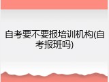 自考要不要报培训机构(自考报班吗)