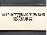 海勃湾学挖机多少钱(海勃湾挖机学费)