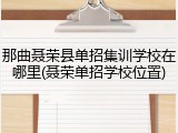 那曲聂荣县单招集训学校在哪里(聂荣单招学校位置)