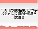 平顶山汝州数控模具技术学校怎么样(汝州数控模具学校如何)