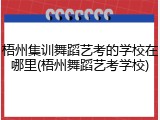 梧州集训舞蹈艺考的学校在哪里(梧州舞蹈艺考学校)