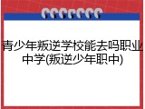 青少年叛逆学校能去吗职业中学(叛逆少年职中)