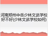 河南郑州中岳少林文武学校好不好(少林文武学校如何)