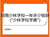 河南少林学校一年多少钱呀("少林学校学费")