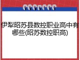 伊犁昭苏县数控职业高中有哪些(昭苏数控职高)
