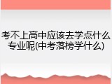 考不上高中应该去学点什么专业呢(中考落榜学什么)