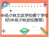 中岳少林文武学校哪个学校好(中岳少林武校推荐)