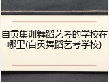 自贡集训舞蹈艺考的学校在哪里(自贡舞蹈艺考学校)