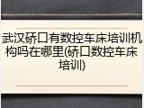 武汉硚口有数控车床培训机构吗在哪里(硚口数控车床培训)