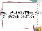 武功山少林学校职校怎么样(武功山少林职校)