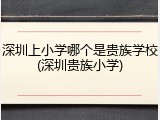 深圳上小学哪个是贵族学校(深圳贵族小学)