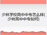 少林学校高中中专怎么样(少林高中中专如何)