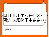 沈阳市化工中专有什么专业可选(沈阳化工中专专业)