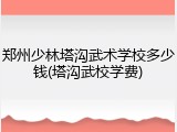 郑州少林塔沟武术学校多少钱(塔沟武校学费)