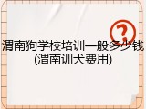 渭南狗学校培训一般多少钱(渭南训犬费用)