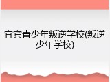 宜宾青少年叛逆学校(叛逆少年学校)
