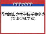 河南嵩山少林学校学费多少(嵩山少林学费)