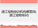 湛江宠物培训机构哪里找(湛江宠物培训)