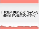 甘孜集训舞蹈艺考的学校有哪些(甘孜舞蹈艺考学校)