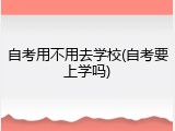 自考用不用去学校(自考要上学吗)