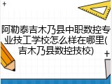 阿勒泰吉木乃县中职数控专业技工学校怎么样在哪里(吉木乃县数控技校)