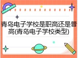青岛电子学校是职高还是普高(青岛电子学校类型)